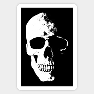 Skull Magnet